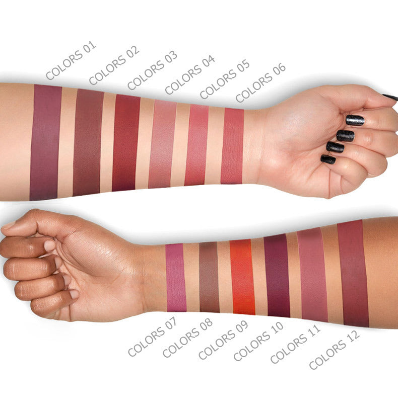 12 Colors Waterproof Long Lasting Lipstick, Natural Matte Sexy Moist Lip Gloss Nude Glitter Beauty Red Lip Tint for Valentine's Day Gifts and Music Festival